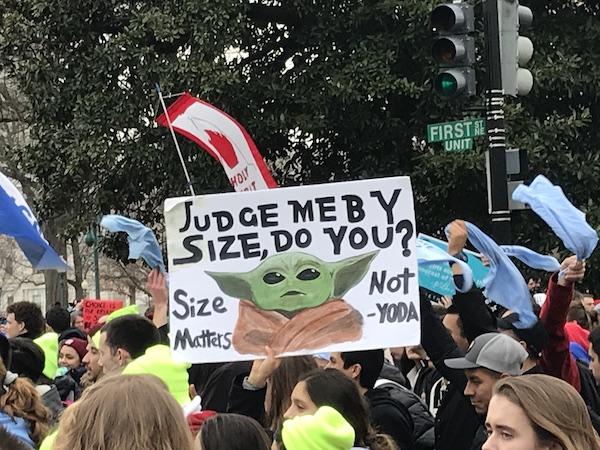 Marchers at the March for Life. A hand-painted sign reads “Judge me by my size, do you? Size matters. Not — Yoda.”